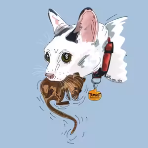 60: Anna Bohonek: V B2B nikdo agresivního salesáka nechce