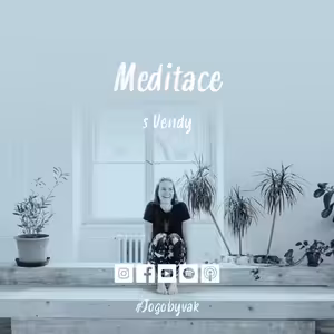 Meditace s Vendy