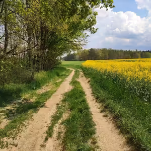 Vesnicopis #32 Z Plešnic do Kozolup