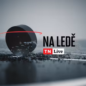 Na ledě