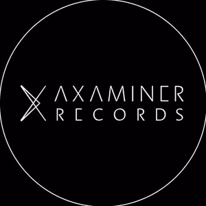 Axaminer Records