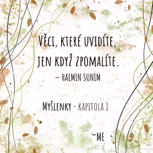 MY~ŠLENKY - Kapitola 1. - Vnitřní klid, myšlenky a perspektiva.