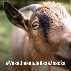 Pohádka o zabezpečených kůzlátkách aneb o HTTPS jinak