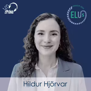 Europe, AI, and the Boundaries of Regulation – A Conversation with Hildur Hjörvar