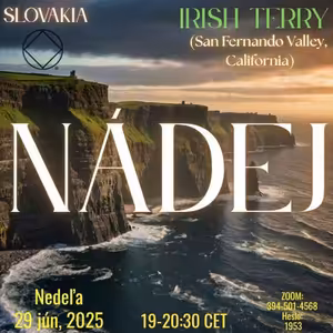 Nádej – Irish Terry (California, USA) – 29. 6. 2025