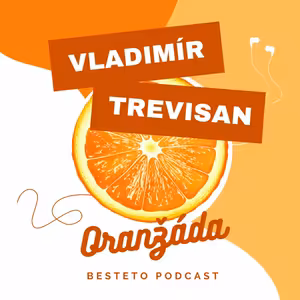 Jak nastavit efektivně cenotvorbu v Shoptetu s Vláďou Trevisanem