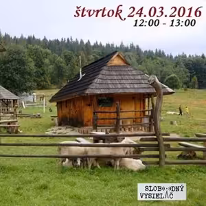 Motorové myši 65 - 2016-03-24 Keď gazdiná nie je doma…