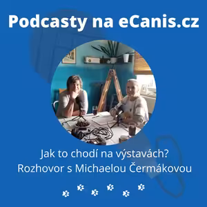 Jak to chodí na výstavách?