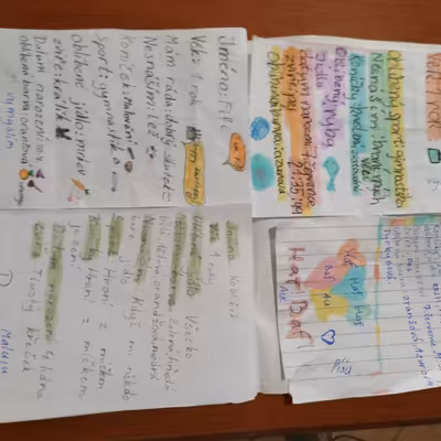 Zvířecí útulek/parta