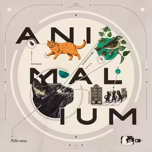 Animalium: Kočky v ulicích a na gauči