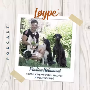 71 | Rozdíly ve výcviku malých a velkých psů | Pavlína Bohunová