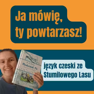 168: Ja mówię, ty powtarzasz! Język czeski ze Stumilowego Lasu