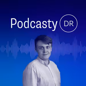 Problémem českého rozpočtu nejsou výdaje, ale nízké příjmy