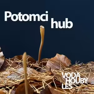Potomci hub - Denisa Tomášková: Kompostování pro zlepšení retenčních vlastností půdy