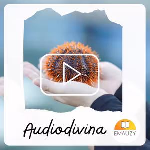 Audiodivina-Slovo, ktoré neomrzí počúvať
