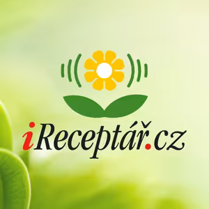 Rozhovor: Jak se postarat v zimě o pokojovky?