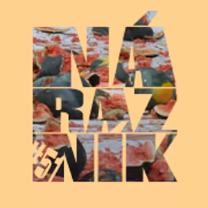 NÁRAZNÍK #51 / Fête