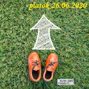 Riešenia a alternatívy 159 - 2020-06-26 záverečná relácia…