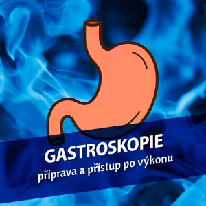 Gastroskopie - příprava a přístup po výkonu