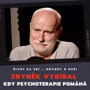 KDY PSYCHOTERAPIE POMÁHÁ - ZBYNĚK VYBÍRAL