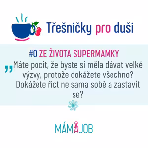 #0: Nesnažte se být Supermamka v sukni za každou cenu
