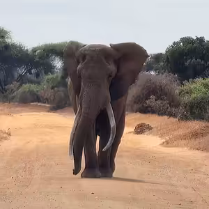 S12E18: KEŇA – Tak jsem tady