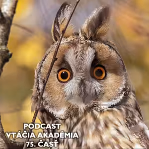 Má 75 rokov a opäť hniezdi!