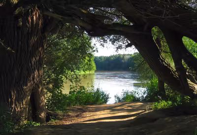 Sedmá generace 1/2025