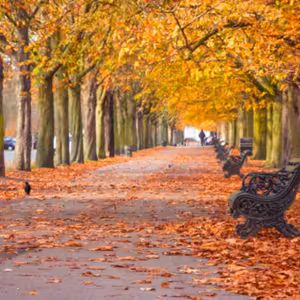 Dopoludnie na Infovojne s Adrianom 23.10.2024