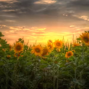 Mají letní prázdniny smysl?