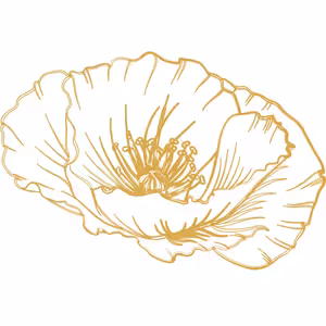 Podcast o kabale s Papaver