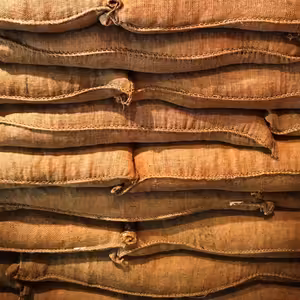 INESS na DNES #16: Čo s Kičurovými rezervami?