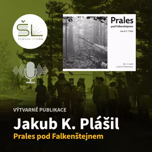 „Prales pod Falkenštejnem“ – Jakub K. Plášil