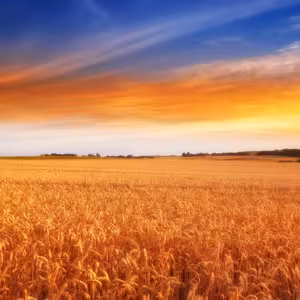 Boží slovo přinášející užitek