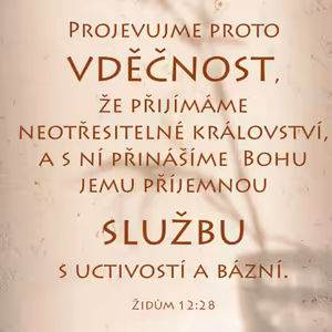 Služba vděčného přijímání (30) - kázání