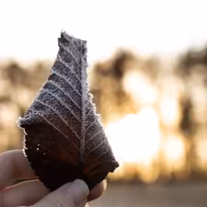 Streda Svätého týždňa