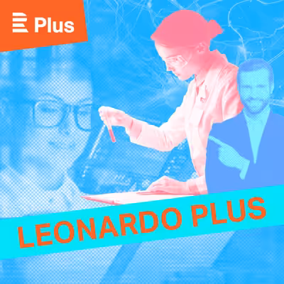 Leonardo Plus