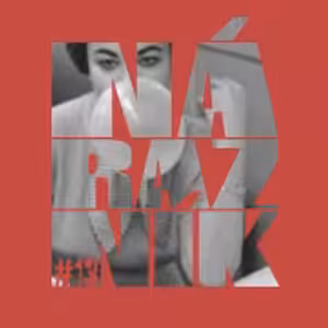 NÁRAZNÍK #13 / Ex offo