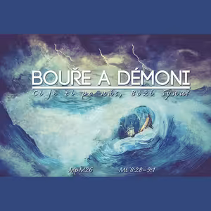 Mesiáš podle Matouše 26 - Bouře a démoni 2 - Gadarenský syndrom - Bohuslav Wojnar (27.1.2013)