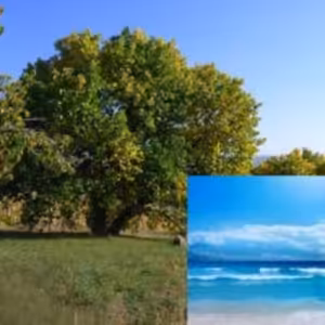 19.2.2023 predpôstna nedeľa (L 17,5-10) kázeň Poprad