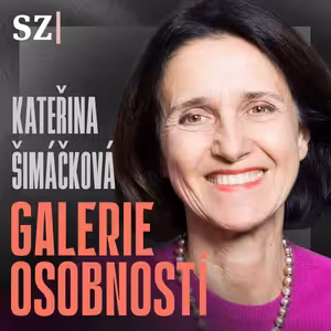 Česko vyslalo signál, že má problém chránit oběti násilí, říká soudkyně