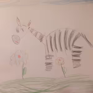 O domýšlivé zebře Izabelce