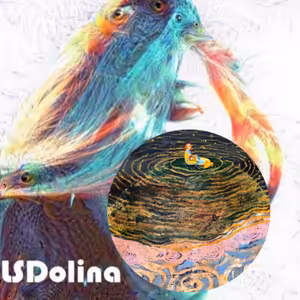 LSDolina | Katarína Janečková Walshe: Trip nám pomohol vo vzťahu #35 (posledná časť)