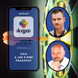 Cíle a jak s nimi pracovat