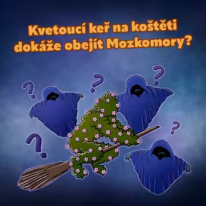 Kvetoucí keř na koštěti dokáže obejít Mozkomory? (S3E09-1)