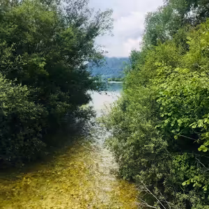 Aromaterapie na každý den, 4. část , Jak provonět ložnici a dětský pokoj