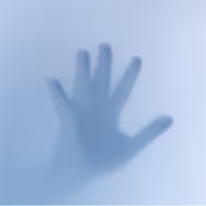 97. Duševné choroby bez duše?