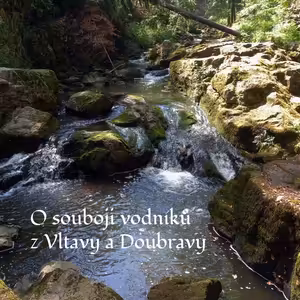 O souboji vodníků z Vltavy a Doubravy