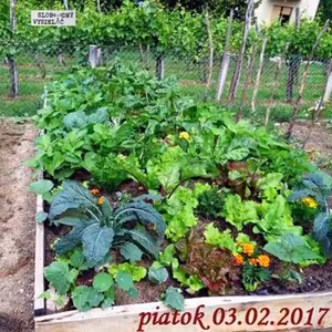 Riešenia a alternatívy 05 - 2017-02-03 Prírodné jedlé záhrady