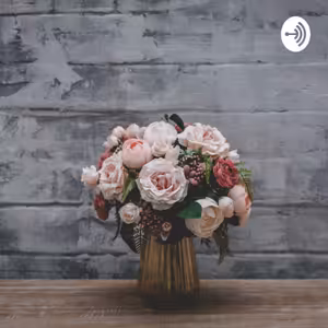 Ve znamení blížence